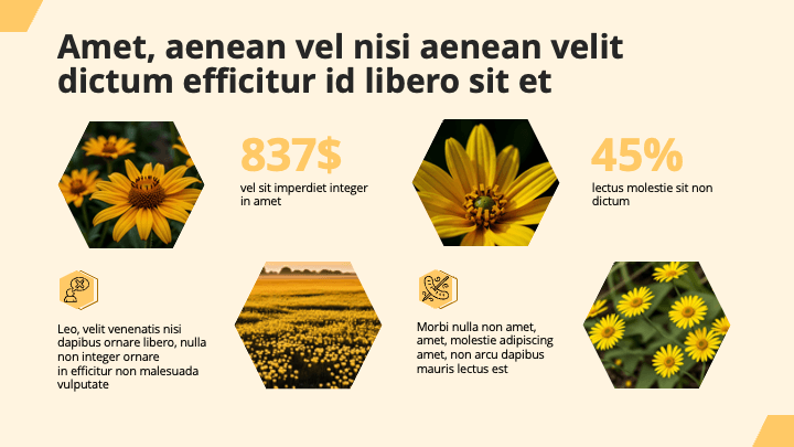 Hexaria Yellow Optimistic slide 7